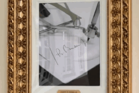 17587977352138411822